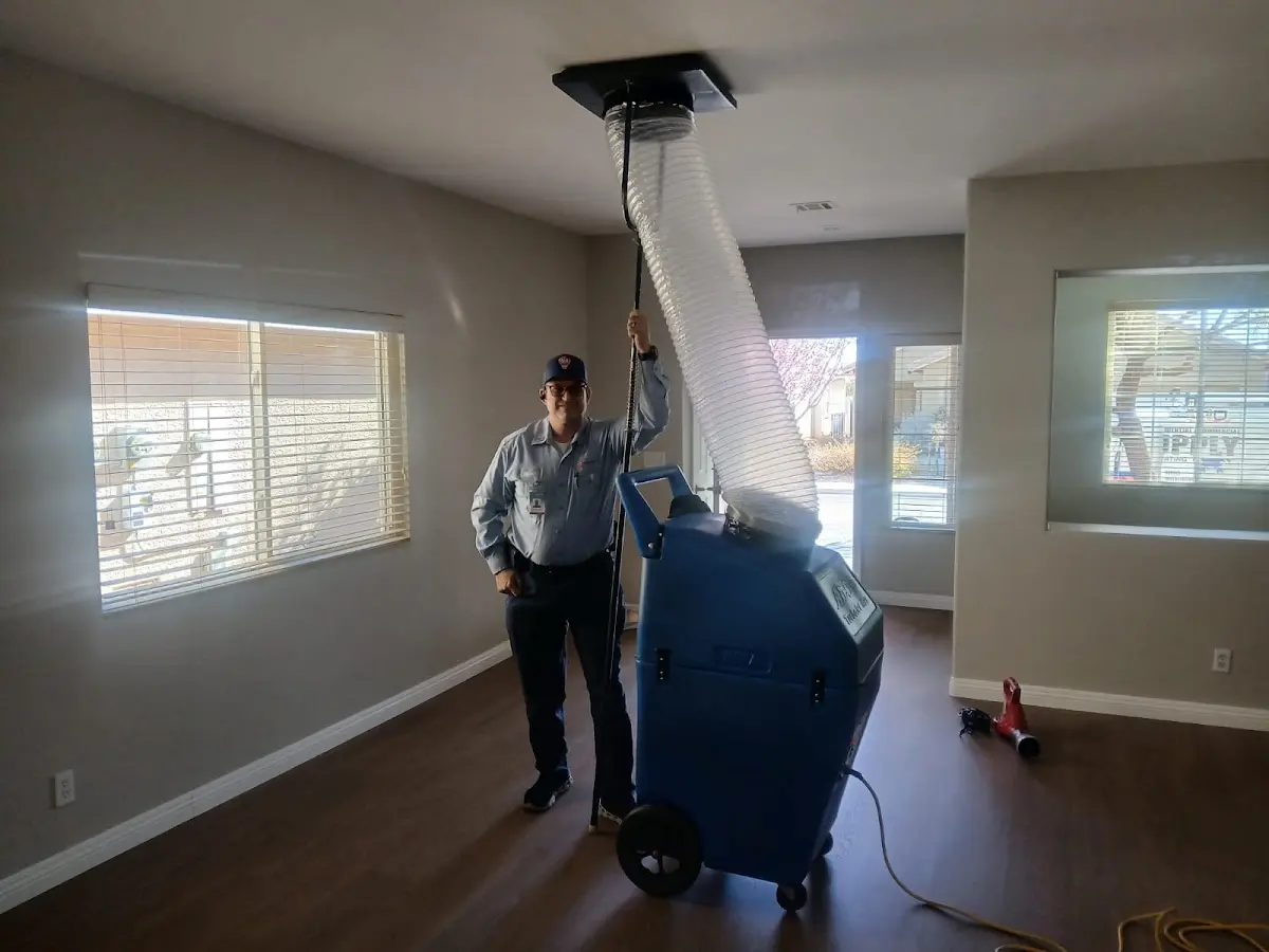Professional Dryer Vent Cleaning work inside a Homewood home